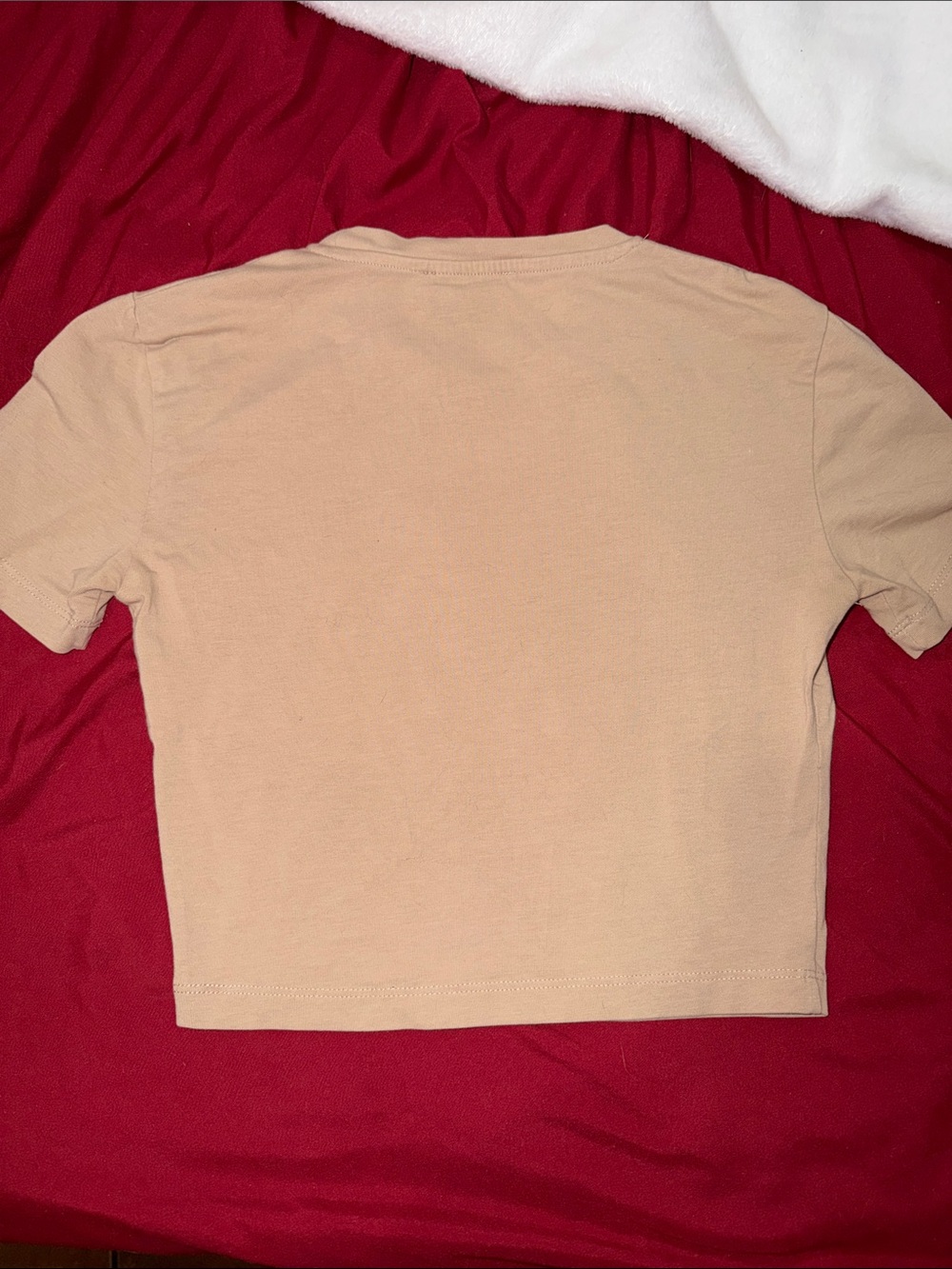 Zara Beige Short Sleeve Top – Women’s XS – Stylish & Flattering - Picture 3 of 3